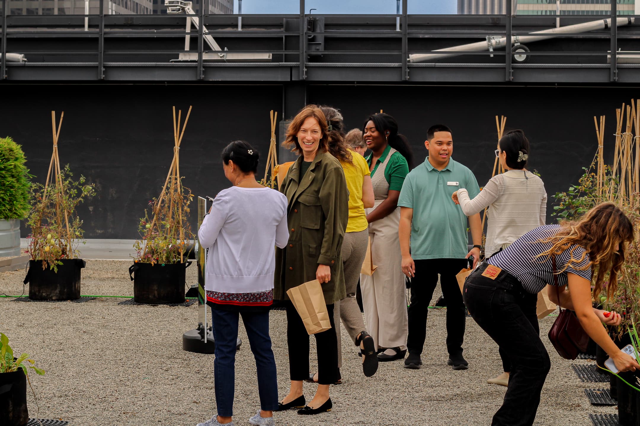 Rooftop Green Spaces