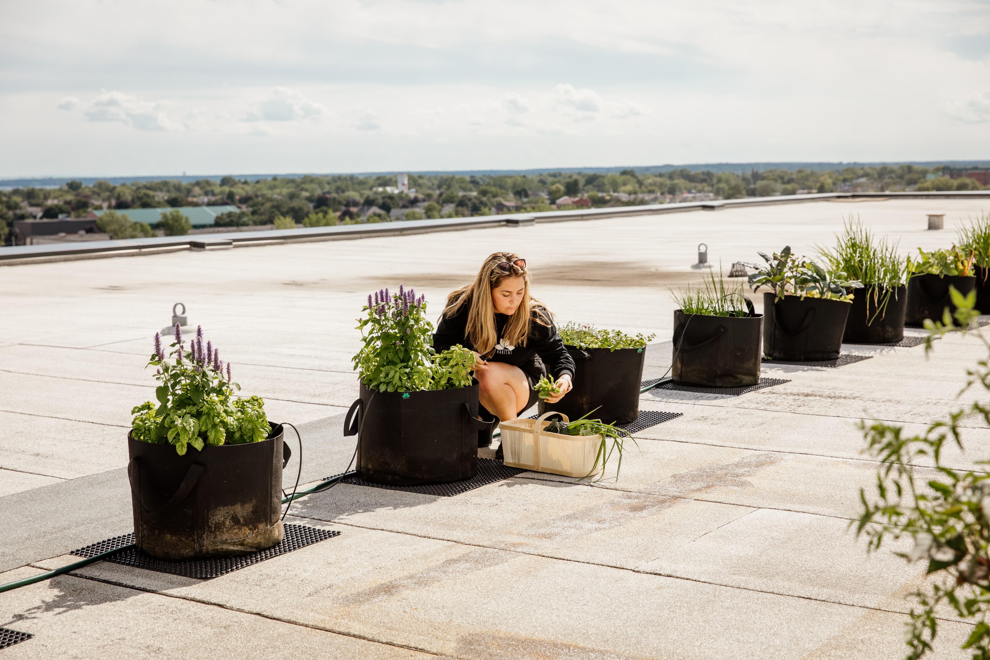 Urban Farming Workshops