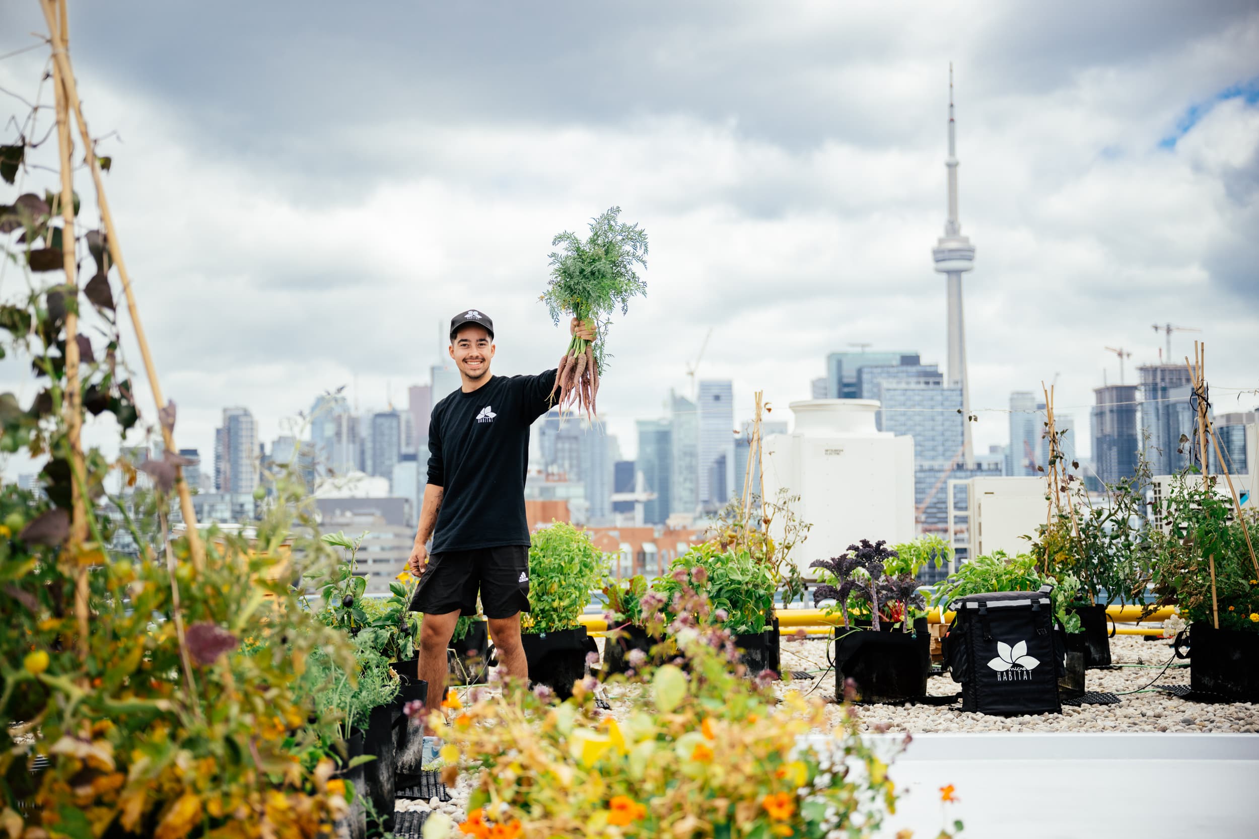 Rooftop Garden Transformations