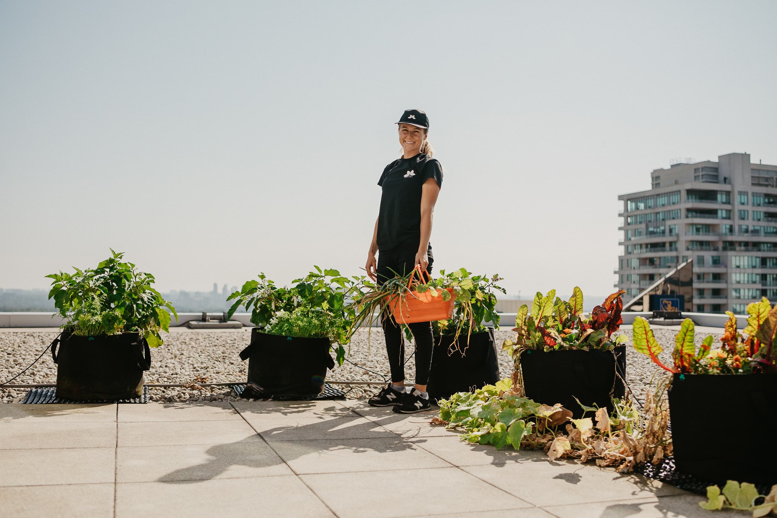 MicroHabitat urban farm