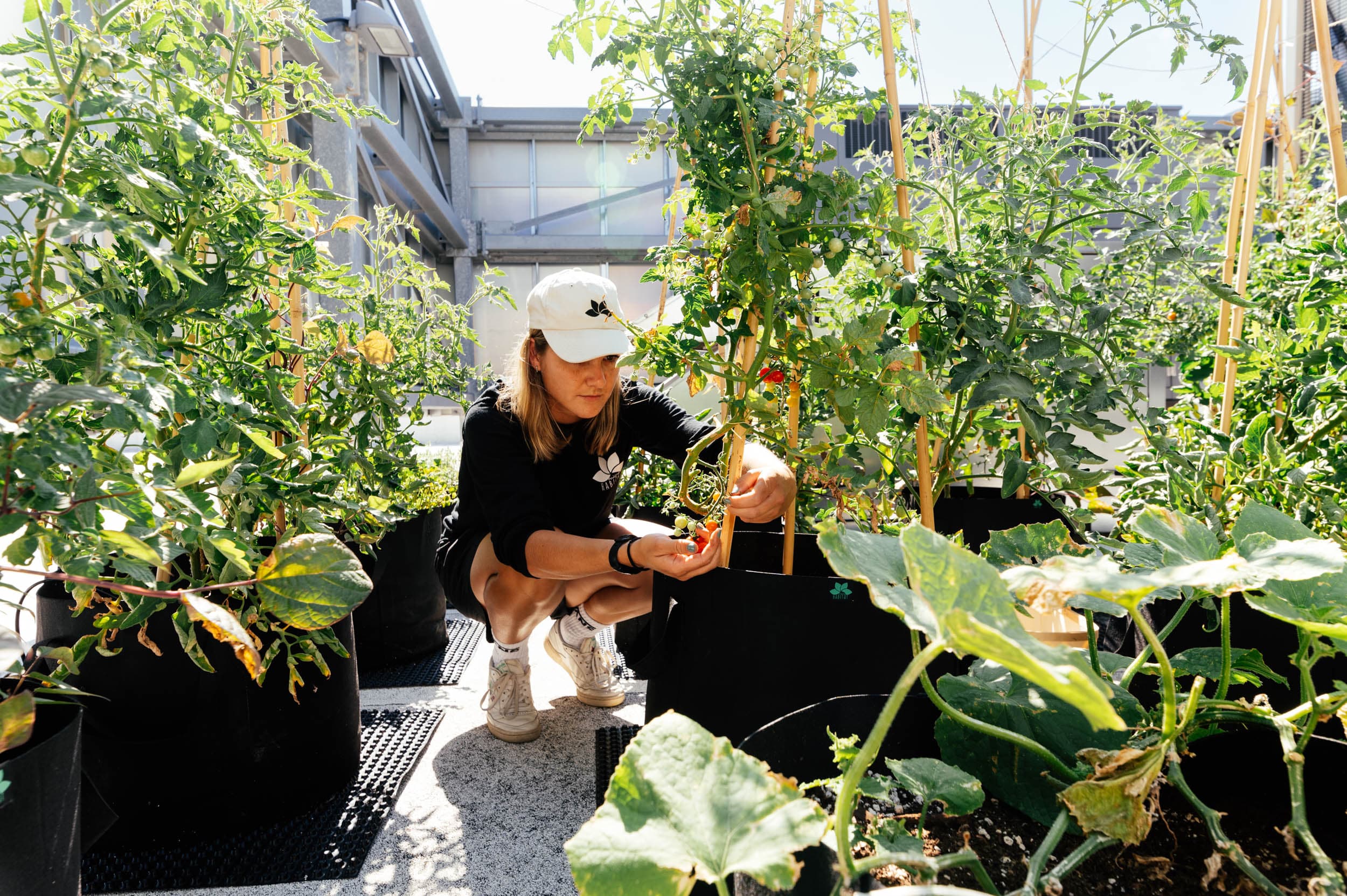 People discussing urban farming with tote bags